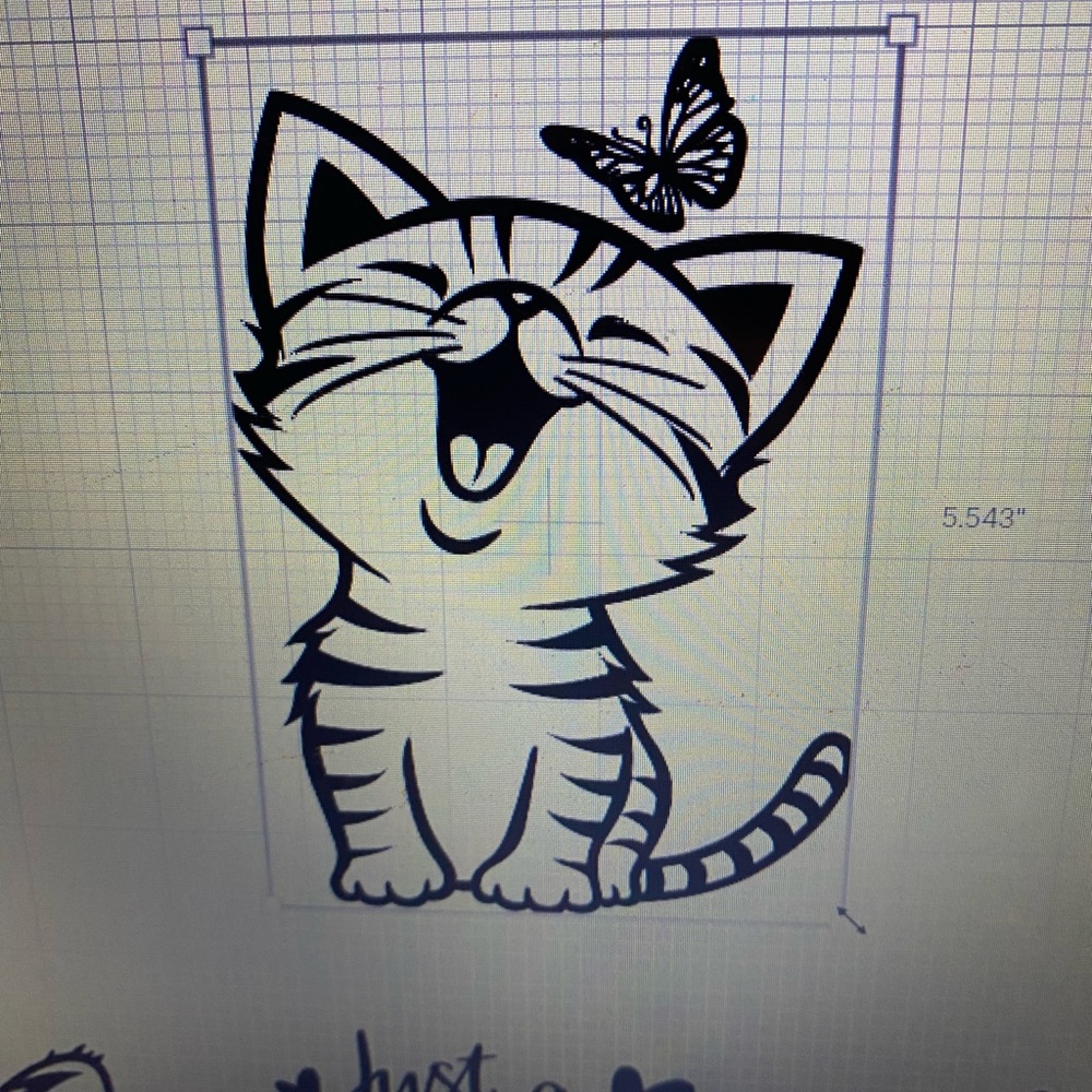 Kitten decal